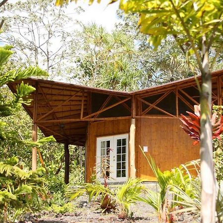Вилла Kalani Oceanside Retreat Pahoa Экстерьер фото