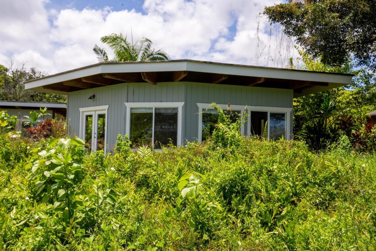 Вилла Kalani Oceanside Retreat Pahoa Экстерьер фото